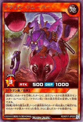 RD/KP17-JP035 �ɥ饴�󡦥�ࡼ�С� R