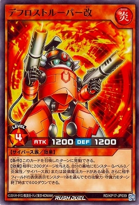 RD/KP17-JP039 �ǥե����ȥ롼�ѡ���