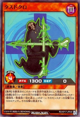 RD/KP17-JP040 �����ɥ���