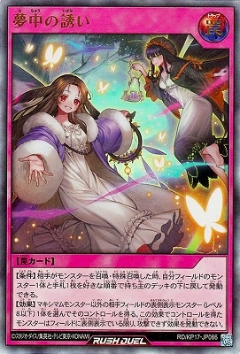 RD/KP17-JP066 ̴���Ͷ���ڥ���ȥ�쥢��