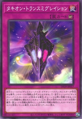 ��12��/DP29-JP017 �������󡦥ȥ�󥹥ߥ��쥤�����