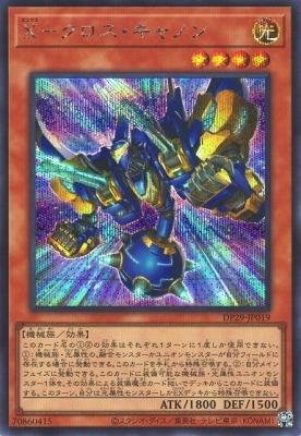 ��12��/DP29-JP019 �ءݥ�����������Υ�ڥ�������åȥ쥢��