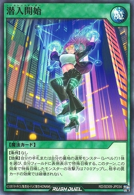 RD/SD0B-JP034 ��������