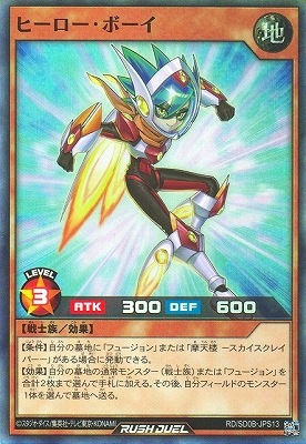 RD/SD0B-JPS13 �ҡ��������ܡ����ڥ����ѡ��쥢��