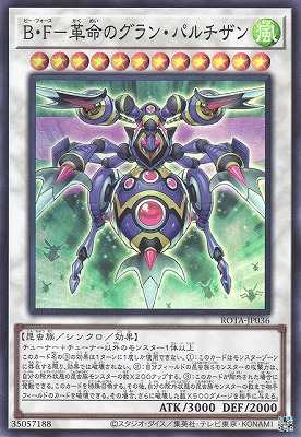 ��12��/06��/ROTA-JP036 ���ơݳ�̿�Υ���󡦥ѥ������ڥ����ѡ��쥢��