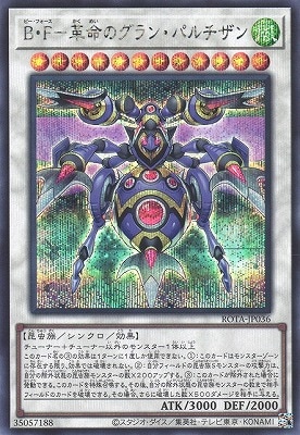 ��12��/06��/ROTA-JP036 ���ơݳ�̿�Υ���󡦥ѥ������ڥ�������åȥ쥢��