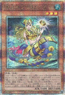 ��12��/06��/ROTA-JP017 ������ ���ӥ��饤��ڥ����������������꡼��������åȥ쥢��