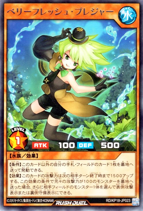 RD/KP18-JP023 �٥꡼�ե�å��塦�ץ쥸�㡼 R