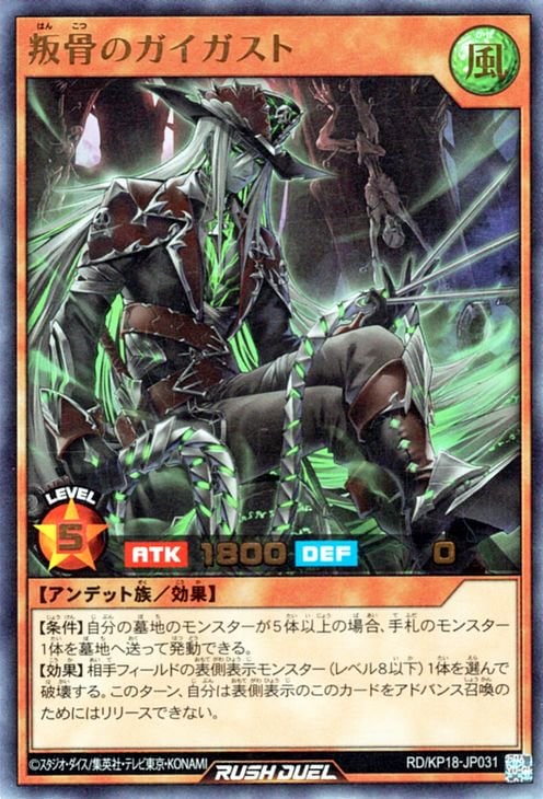 RD/KP18-JP031 �����Υ��������ȡڥ���ȥ�쥢��