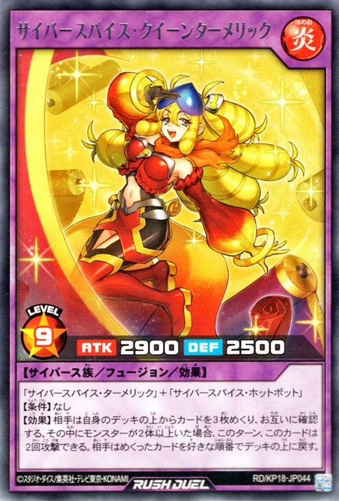 RD/KP18-JP044 �����С����ѥ������������󥿡����å� R