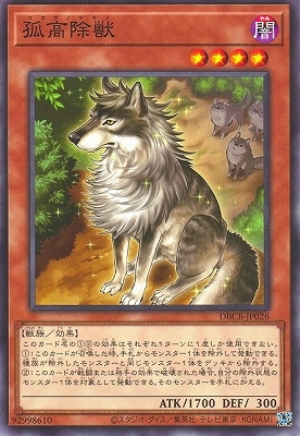 ��12��/DBCB-JP026 �ɹ����