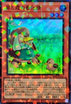 ȡʥȥѥå/24TP-JP202 ĤȲνղڥѡ쥢ѥ