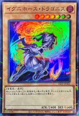 ȡʥȥѥå/24TP-JP301 ˥ۡɥ饴˥ڥѡ쥢ѥ