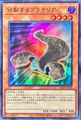������°������/VJMP-JP258 ʬ������ץ�ʥꥢ�ڥ���ȥ�쥢��
