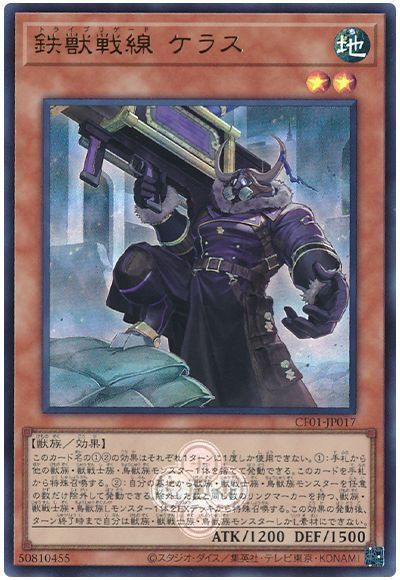 ��12��/CF01-JP017 Ŵ������ ���饹�ڥ���ȥ�쥢��