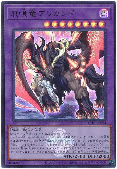 ��12��/CF01-JP023 ����ε�֥ꥬ��ɡڥ���ȥ�쥢��