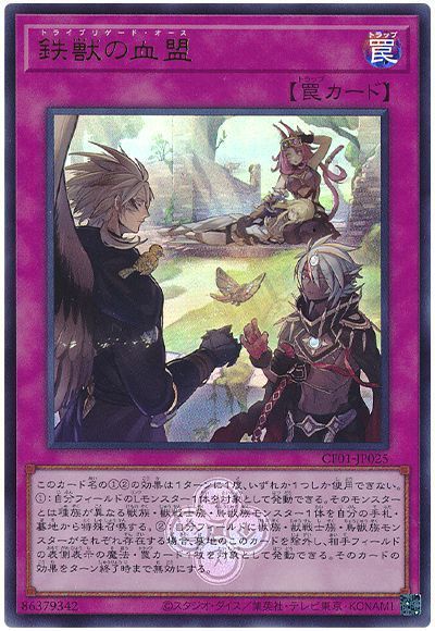��12��/CF01-JP025 Ŵ�äη����ڥ���ȥ�쥢��