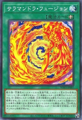 12/WPP5-JP007 ޥɥ顦ե塼