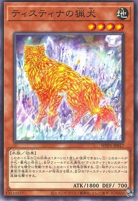 12/WPP5-JP017 ƥƥʤĸ