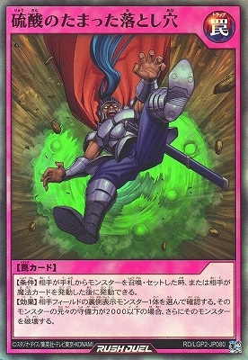 RD/LGP2-JP080 βΤޤäȤڥѡ쥢