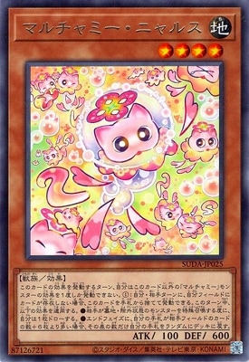 マルチャミー・ニャルス