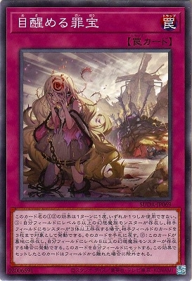 目醒める罪宝