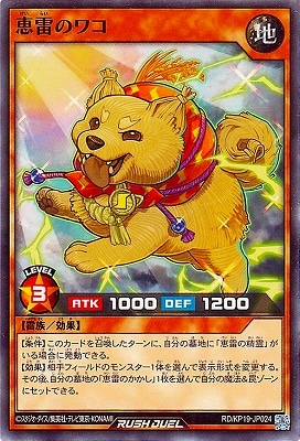 RD/KP19-JP024 Υ拾