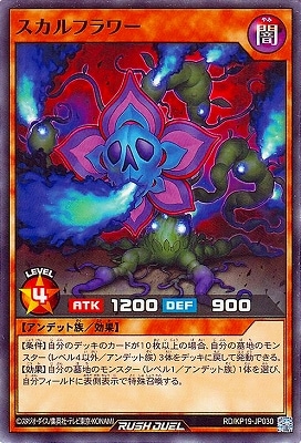 RD/KP19-JP030 ե