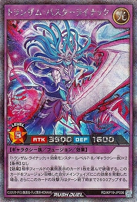 RD/KP19-JP036 �ȥ�󥶥ࡦ�Х������饤�ʥå��ڥ�������åȥ쥢��