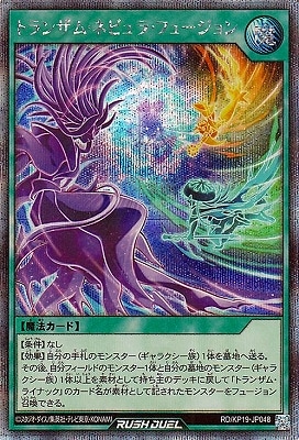 RD/KP19-JP048 ȥ󥶥ࡦͥӥ顦ե塼ڥåȥ쥢