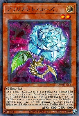 ��12��/TW02-JP054 �֥�ꥢ��ȡ��������ڥΡ��ޥ�ѥ����