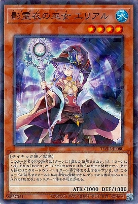 12 TW02-JP080  ꥢڥΡޥѥ