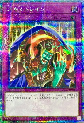 12/QCLP-JP025 ɥ쥤ڥ꡼åȥ쥢