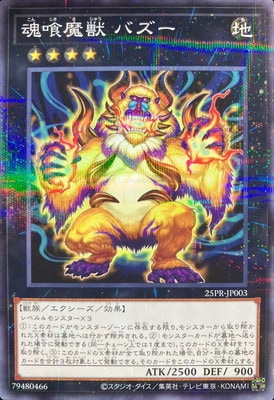 �ץ��⡼�����/25PR-JP003 ������� �Х����ڥΡ��ޥ�ѥ����