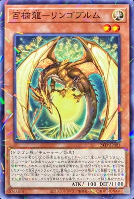 ȡʥȥѥå/24TP-JP403 ɴζݥ󥴥֥