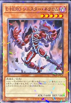 ȡʥȥѥå/24TP-JP404 šݣȣţң ˥ͥ