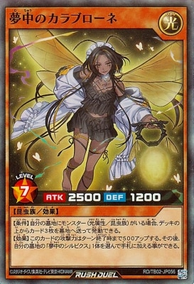 RD/TB02-JP056 ̴��Υ���֥����͡ڥ����ѡ��쥢��