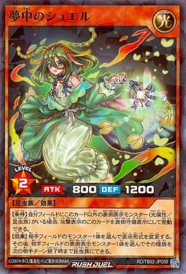 RD/TB02-JP058 ̴��Υ��奨��ڥΡ��ޥ�ѥ���쥢��