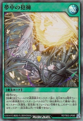 RD/TB02-JP065 ̴������ʡڥ����ѡ��쥢��