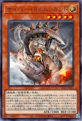 ��12��/08��/ALIN-JP026 �����С�������󥬥��