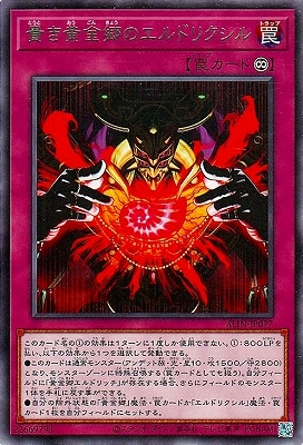 12/08/ALIN-JP077 ⶿Υɥꥯ R