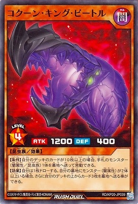 RD/KP20-JP039 �������󡦥��󥰡��ӡ��ȥ�