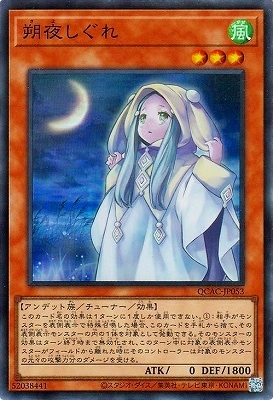 12/QCAC-JP053 뤷 ڥѡ쥢