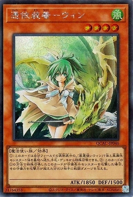 ��12��/QCAC-JP046 �������ݥ����� �ڥ�������åȥ쥢��