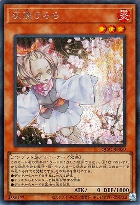 12/QCAC-JP050 ή ڥåȥ쥢