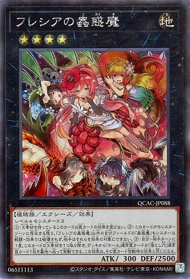 ��12��/QCAC-JP088 �ե쥷��������� �ڥ�������åȥ쥢��