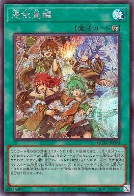 ��12��/QCAC-JP094 ��ͳ��� �ڥ�������åȥ쥢��