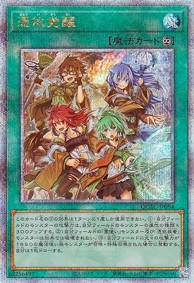 ��12��/QCAC-JP094 ��ͳ��� �ڥ����������������꡼��������åȥ쥢��