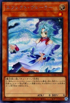 12/饹Ȱ㤤1 QCAC-JP002 եȡ顼 ڥåȥ쥢