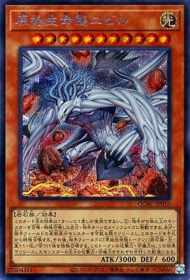 12/饹Ȱ㤤1 QCAC-JP010 ֥̿˥ӥ ڥåȥ쥢